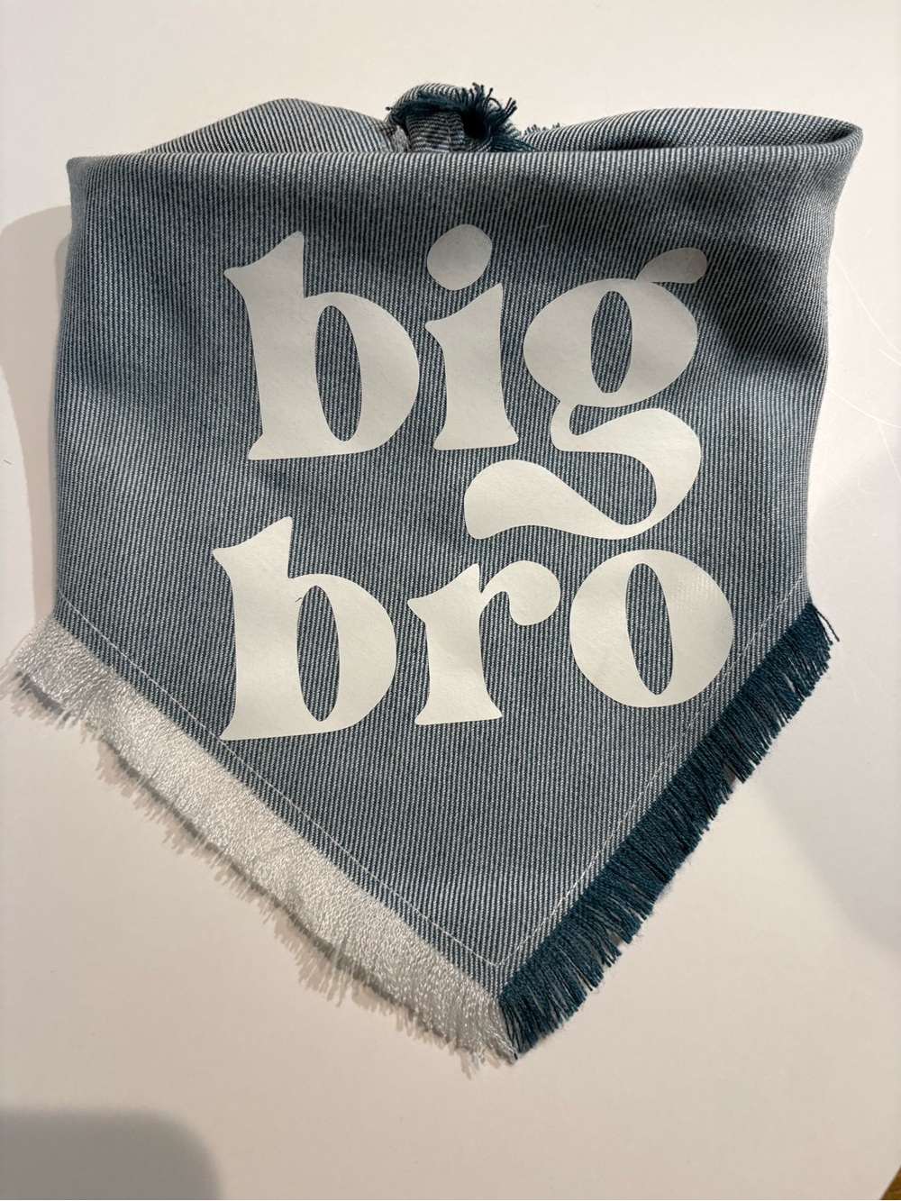 Big Bro Bandana‎ Scarf | Medium pup